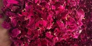 Dry Rose Petals