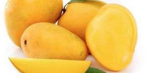 Fresh Banganapalli Mango