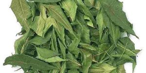 Dried Neem Leaves