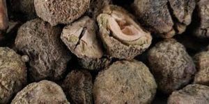 Dry Amla