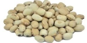 Kaunch Seeds
