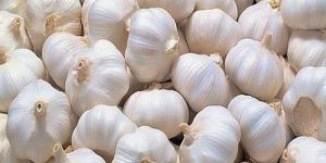 Natural Fresh Garlic
