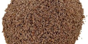 Sortex Clean Isabgol Seeds
