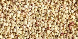 White Quinoa Seeds