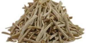 White Shatavari Root