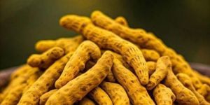 Rajapuri Turmeric Finger