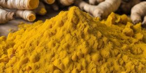 Rajapuri Turmeric Powder
