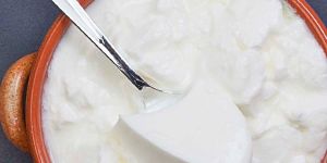 Fresh Plain Soya Curd