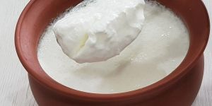 Natural Thick Soya Curd
