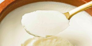 Thick Fresh Soya Curd