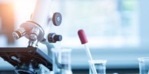 Chemical Testing Services