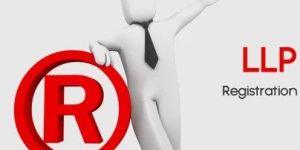 LLP Company Registration India Service