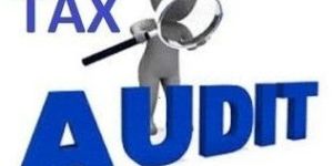 Tax Audit Filing Service