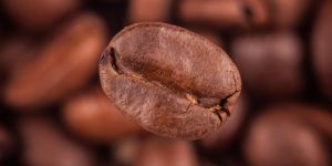 Coffee Organic Certification