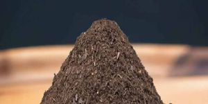 Bio Organic Cow Dung Powder Manure