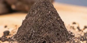 Desi Cow Dung Powder Organic Manure