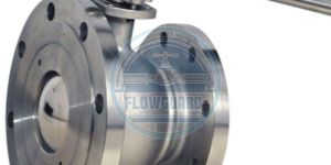BALL TYPE FLUSH BOTTOM VALVE