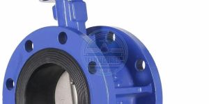 Flange Butterfly Valve