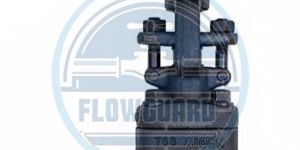 Forged Steel Globe Valve