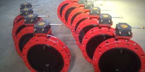 U Type Butterfly Valve