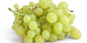 Fresh Green Grape
