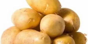 a Grade Fresh Potato