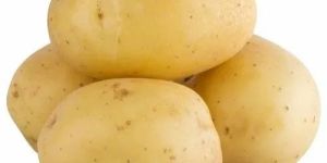 Fresh Brown Potato