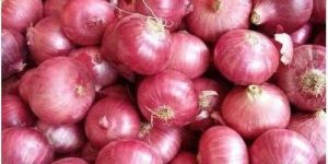 Fresh Red Onion