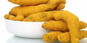 Natural Raw Turmeric Finger