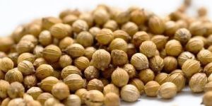 Natural Whole Coriander Seeds