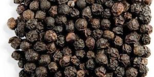 Premium Black Pepper Seeds