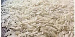 PR 11 Basmati Rice