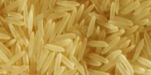 RH-10 Golden Sella Non-Basmati Rice