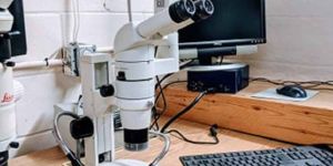 TEM Analysis Service