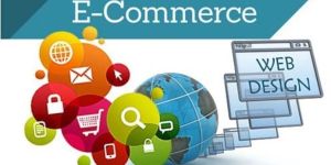 E Commerce Website Designing Services