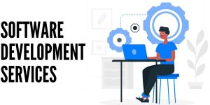 Custom Software Development Services