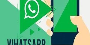 WhatsApp Marketing Service