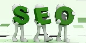 Search Engine Optimization Services