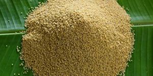 Natural Little Millet