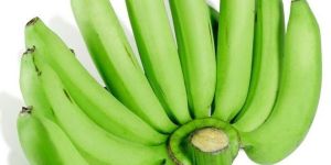 a Grade G9 Cavendish Banana
