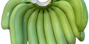 Maharashtra G9 Green Cavendish Banana