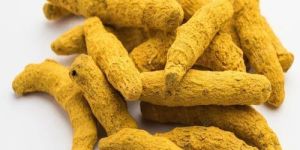 Natural Dry Turmeric Finger