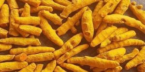Salem Dried Turmeric Finger
