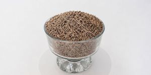 Cumin Seeds