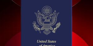 USA L1 Visa Services