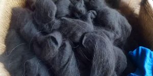 Natural Human Hair