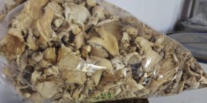 Dried Mushroom