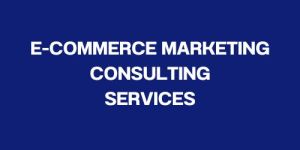 Ecommerce Development Services