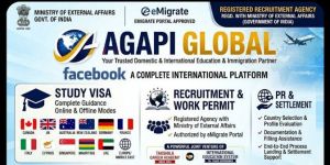 Work Permit Service