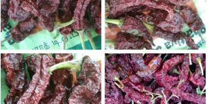 Dried Chillies